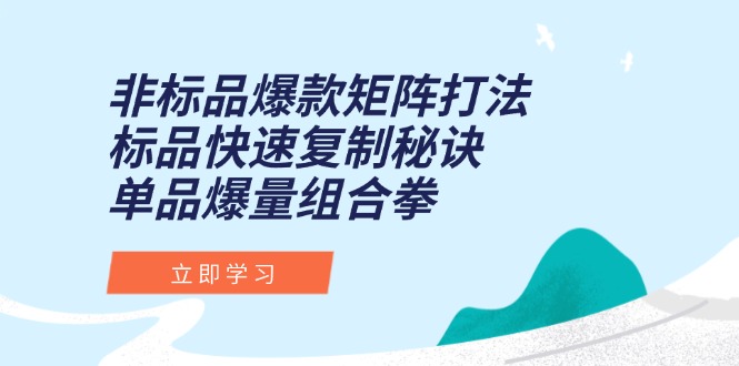 非标品爆款矩阵打法，标品快速复制秘诀，单品爆量组合拳远创网-专注分享副业落地实操课程 – 全网首发_高质量项目输出远创网