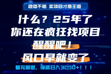什么？25年你还在疯狂找项目做，醒醒吧，看完这些你全都懂了！【揭秘】远创网-专注分享副业落地实操课程 – 全网首发_高质量项目输出远创网