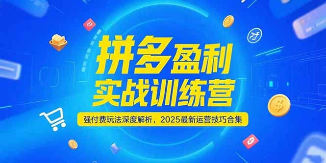 拼多多盈利实战训练营，强付费玩法深度解析，2025运营技巧合集-更新6月远创网-专注分享副业落地实操课程 – 全网首发_高质量项目输出远创网
