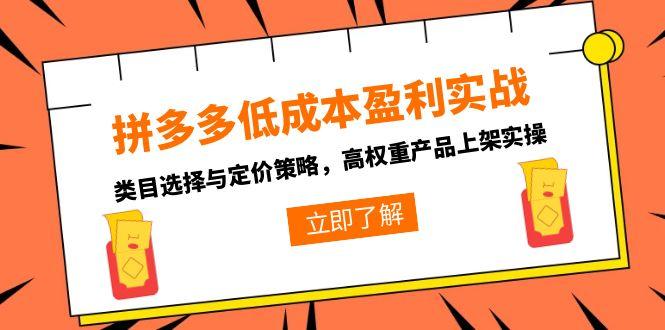 拼多多低成本盈利实战，类目选择与定价策略，高权重产品上架实操远创网-专注分享副业落地实操课程 – 全网首发_高质量项目输出远创网