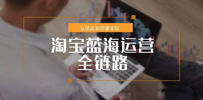 淘宝蓝海运营全链路，从选品到流量变现，小类目突围完整方案远创网-专注分享副业落地实操课程 – 全网首发_高质量项目输出远创网