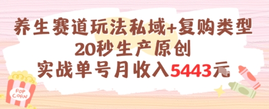养生赛道玩法私域+复购类型，20秒生产原创实战单号月收入5k+远创网-专注分享副业落地实操课程 – 全网首发_高质量项目输出远创网