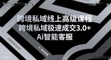 跨境私域线上高级课程，跨境私域极速成交3.0+Ai智能客服远创网-专注分享副业落地实操课程 – 全网首发_高质量项目输出远创网