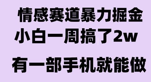 情感暴力掘金项目，新人操作一周挣了2W，长期稳定小白可做【揭秘】远创网-专注分享副业落地实操课程 – 全网首发_高质量项目输出远创网