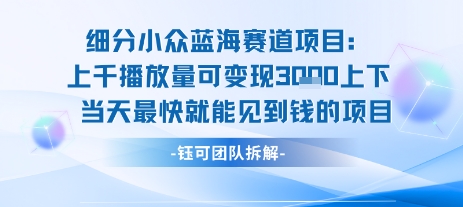 小众蓝海赛道项目：当天变现1k+适合新手操作 +适合长期玩远创网-专注分享副业落地实操课程 – 全网首发_高质量项目输出远创网