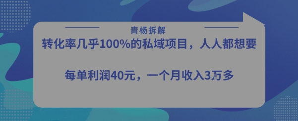 转化率最高的私域项目，每单利润40-50米，月入过1w远创网-专注分享副业落地实操课程 – 全网首发_高质量项目输出远创网