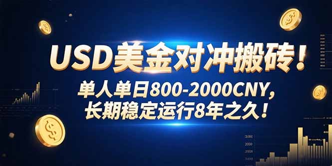 USD美金对冲搬砖!单人单日800-2000CNY，长期稳定运行8年之久!远创网-专注分享副业落地实操课程 – 全网首发_高质量项目输出远创网