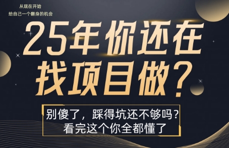 25年，你还在疯狂的找项目吗？别傻了，看完这个你都懂了【揭秘】远创网-专注分享副业落地实操课程 – 全网首发_高质量项目输出远创网