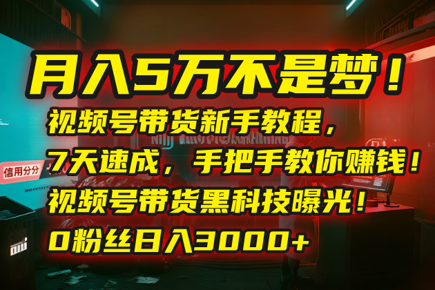 月入5万不是梦！视频号带货新手教程，7天速成，手把手教你赚钱！视频号…远创网-专注分享副业落地实操课程 – 全网首发_高质量项目输出远创网