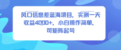 风口信息差蓝海项目，实测一天收益4k+，小白操作简单，可矩阵起号远创网-专注分享副业落地实操课程 – 全网首发_高质量项目输出远创网