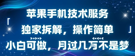 苹果手机技术服务，独家拆解，操作简单，小白可做，月过1W不是梦远创网-专注分享副业落地实操课程 – 全网首发_高质量项目输出远创网