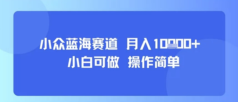 小众蓝海赛道，小白可做，操作简单，每天30分钟，月入1W+远创网-专注分享副业落地实操课程 – 全网首发_高质量项目输出远创网