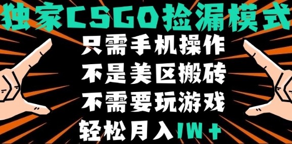 CSGO自动捡漏项目，最新独家玩法，不是美区搬砖，不需要了解和玩游戏，新手小白轻松月入1W+【揭秘】远创网-专注分享副业落地实操课程 – 全网首发_高质量项目输出远创网