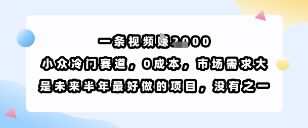 一条视频挣1k，小众冷门赛道，0成本，市场需求大，是未来半年最好做的项目，没有之一远创网-专注分享副业落地实操课程 – 全网首发_高质量项目输出远创网