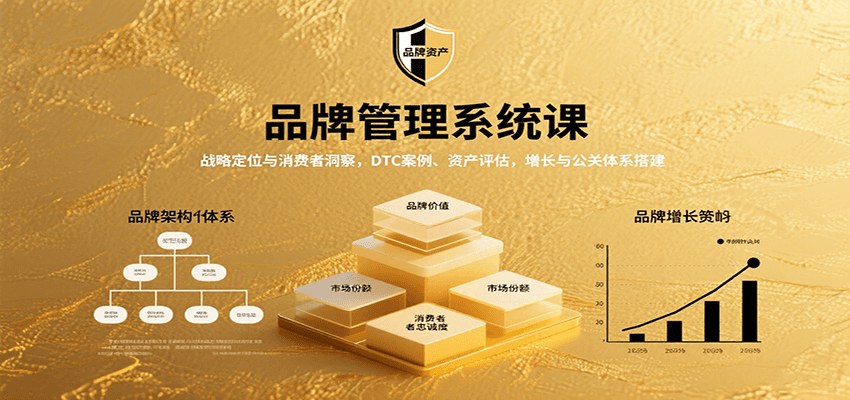 品牌管理系统课：战略定位与消费者洞察，DTC案例、资产评估，增长与公关体系搭建远创网-专注分享副业落地实操课程 – 全网首发_高质量项目输出远创网