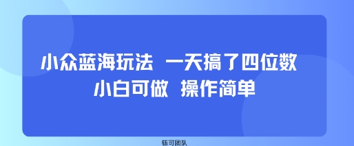 小众蓝海玩法 一天搞了四位数 小白可做 操作简单远创网-专注分享副业落地实操课程 – 全网首发_高质量项目输出远创网