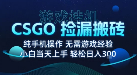 8月最新游戏搬砖，CSGO纯挂G，不需要玩游戏，实现真挂G，月入1W+【揭秘】远创网-专注分享副业落地实操课程 – 全网首发_高质量项目输出远创网