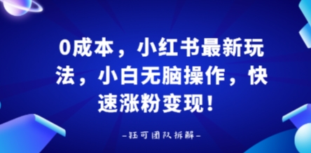 0成本，小红书最新玩法，小白无脑操作，快速涨粉变现远创网-专注分享副业落地实操课程 – 全网首发_高质量项目输出远创网