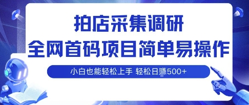 拍店采集调研，全网首码项目，简单易操作， 小白也能轻松上手，多账号操作，轻松日入5张【揭秘】远创网-专注分享副业落地实操课程 – 全网首发_高质量项目输出远创网