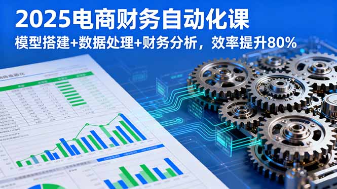 2025电商财务自动化课，模型搭建+数据处理+财务分析，效率提升80%远创网-专注分享副业落地实操课程 – 全网首发_高质量项目输出远创网