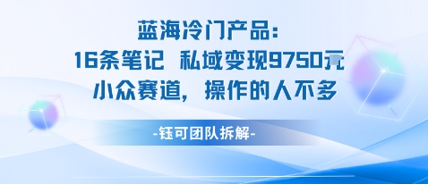 蓝海项目：16条笔记私域变现9750米小众赛道操作的人不多远创网-专注分享副业落地实操课程 – 全网首发_高质量项目输出远创网