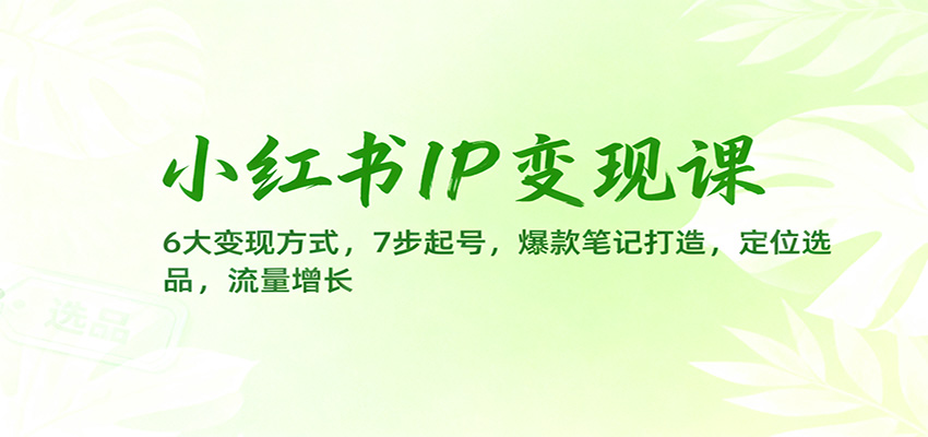 小红书IP变现课:6大变现方式,7步起号,爆款笔记打造,定位选品,流量增长远创网-专注分享副业落地实操课程 – 全网首发_高质量项目输出远创网