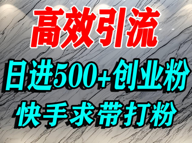 怎么打创业粉?快手求带视角精准引流创业粉,宝妈、学生群体日进500+精准流量远创网-专注分享副业落地实操课程 – 全网首发_高质量项目输出远创网